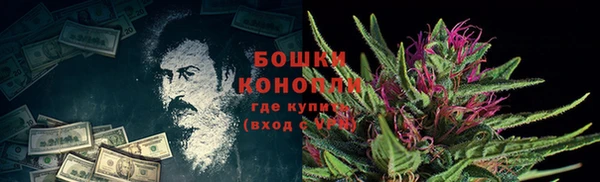 spice Горнозаводск